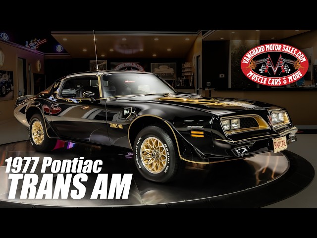 1977 Pontiac Trans Am For Sale Vanguard Motor Sales #1922