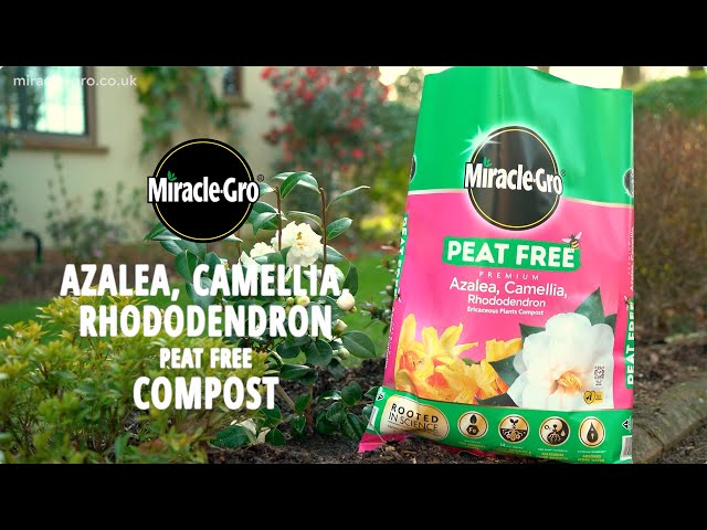 Miracle-Gro® Peat Free Premium Azalea, Camellia & Rhododendron Compost |