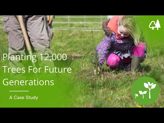 Planting 12,000 Trees For Future Generations