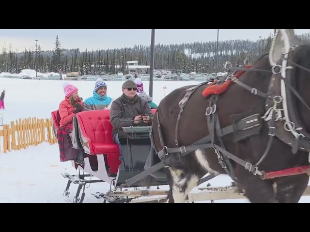 Big White Ski Resort - Horse Drawn Sleigh Ride