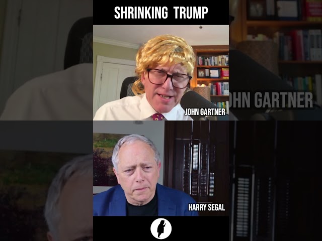 Fake interview with Trump