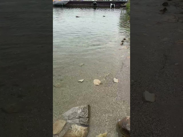 Beautiful peaceful waters on the shore of Lake Michigan