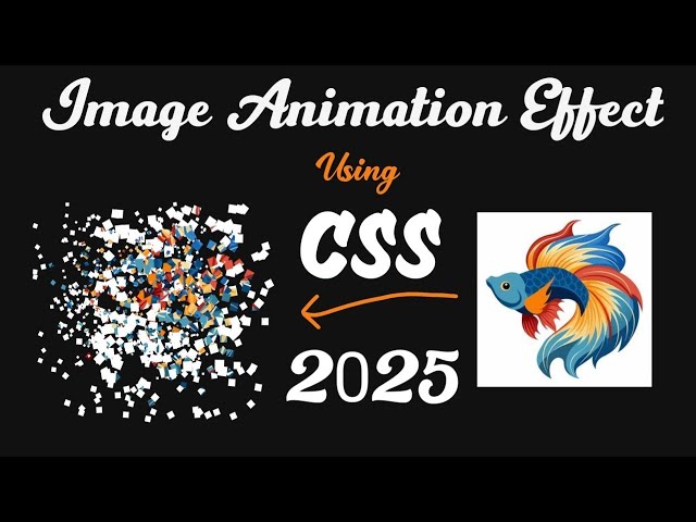 CSS Animation Effects: Next Level Image Animation!