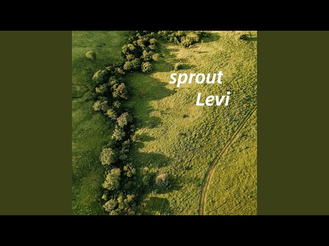 stream