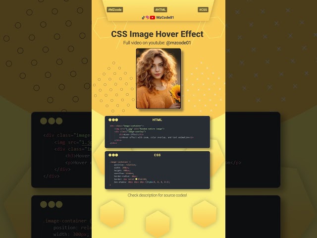 Awesome Image Hover Effects Using Only HTML & CSS! #htmlcss #csshovereffects #cssanimation #shorts