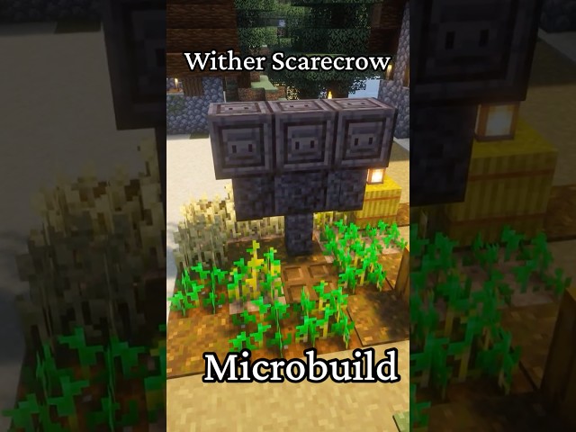 A wither scarecrow! #minecraft