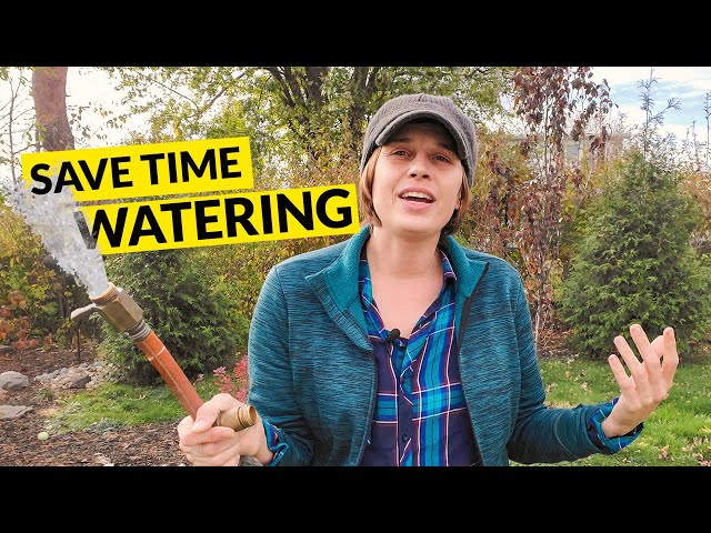 5 Watering tools to save time and effort in the garden
