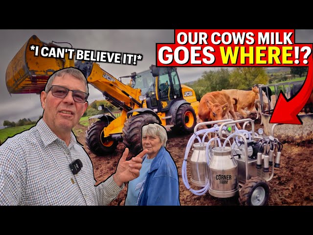 Spend A Day With Mother And I At Corner Farm!