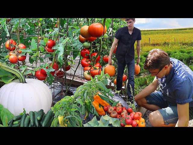Garden Harvest Megamix