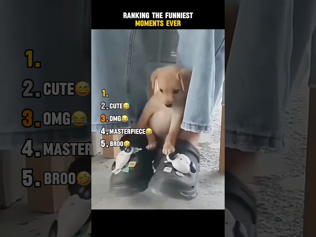 Ranking the funniest moments ever 😂 #funny #trynottolaugh