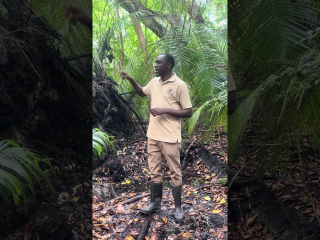 4. Our Guide