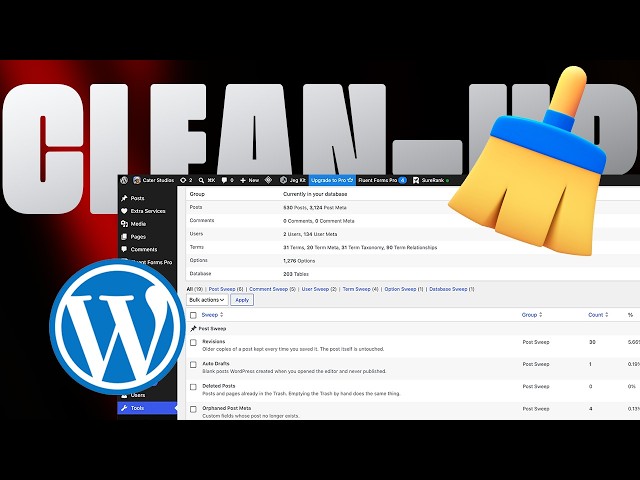 Clean up your wordpress website in one click to prevent website development saving error 405 & 505