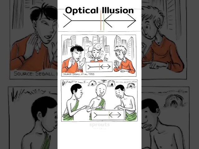 Optical Illusion [Shorts version] #sproutsschools #opticalillusion #illusion