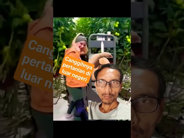 pertanian modern