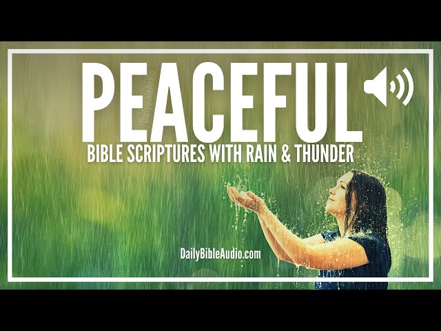 SCRIPTURES WITH RAIN (8 HOURS) | Bible Verses With Rain For Sleep, Rest, and Meditation