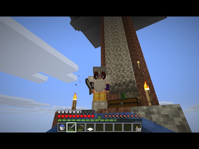 We Built A MOB FARM (Java~08)