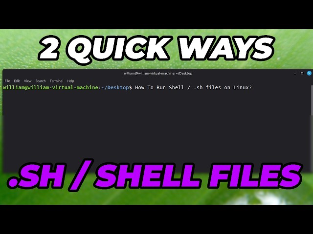 How To Run .sh/shell Files on Linux | 2 Quick Ways