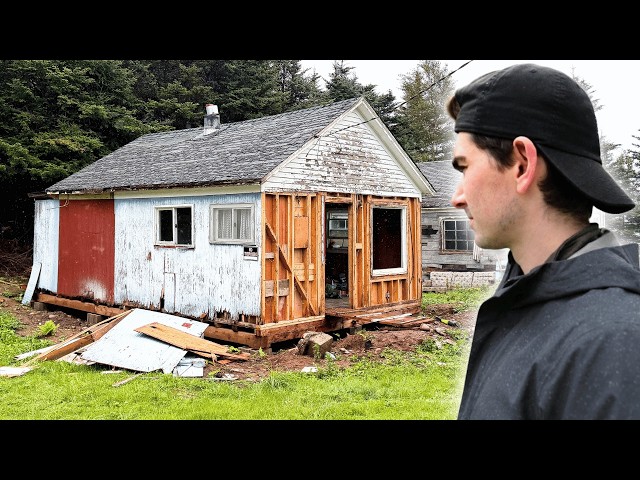 Biggest Transformation on My Abandoned Cabin Yet
