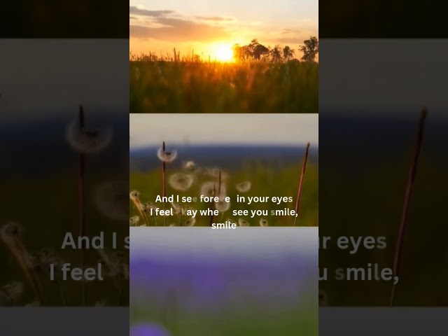 Dandelion #shorts #song
