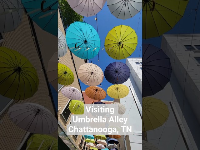 Visiting Umbrella Alley in downtown Chattanooga, TN #travel #shorts