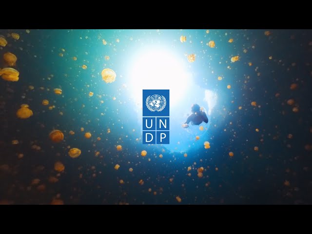 Driving Human Development for Indonesia's Future - UNDP Indonesia Video Profile
