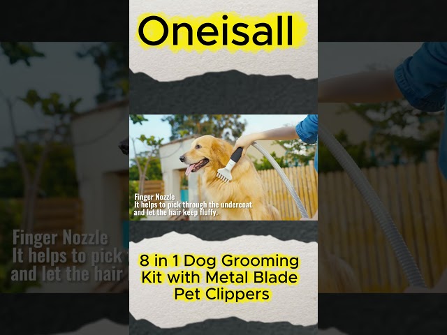 Oneisall 8 in 1 Dog Gromming Kit