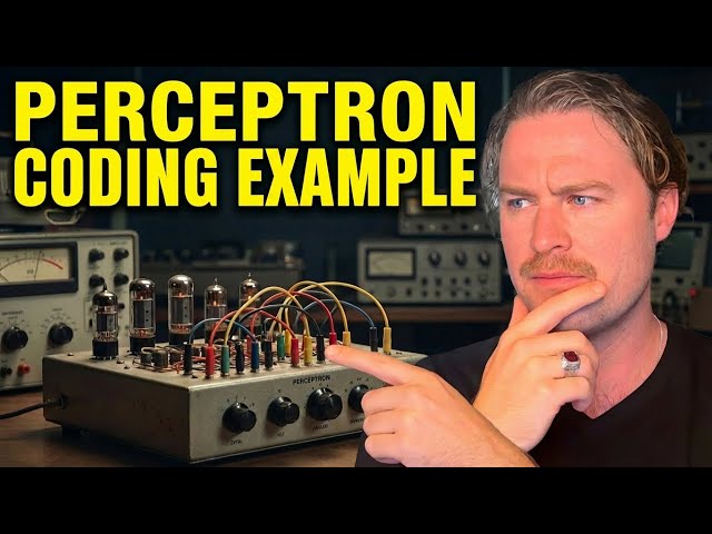 Programming Perceptron and Normalizing Data (Code Example)