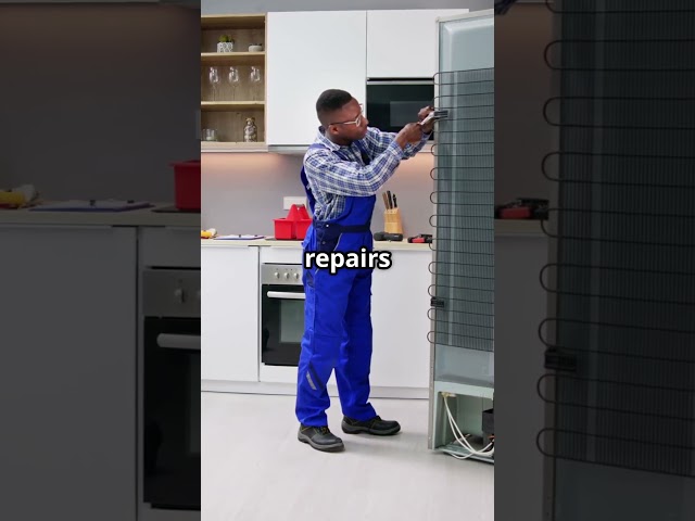 Samsung Fridge Repair in Hollywood, Fort Lauderdale & Broward  #zapfixers #fridgerepair