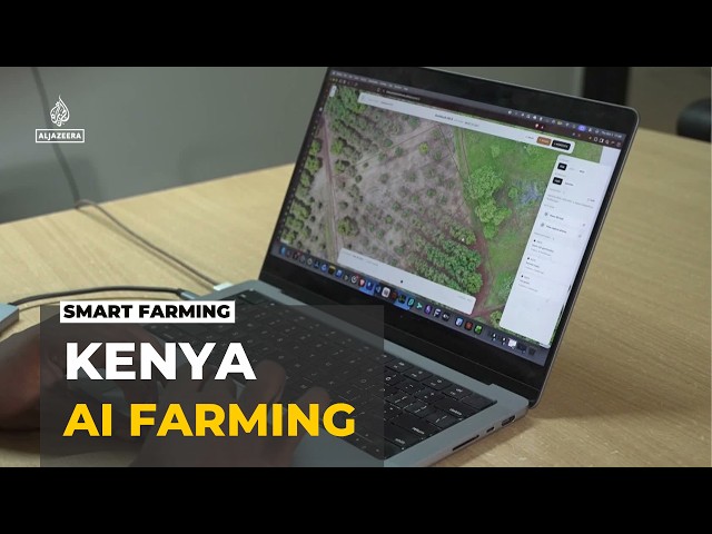 Kenya's AI-powered farms: Farmers use technology to tackle challenges