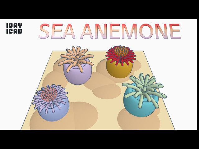 [1DAY_1CAD] SEA ANEMONE (Tinkercad : Know-how / Style / Education)