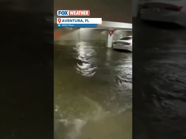 Parking Garage In Aventura, FL Filled With Floodwater