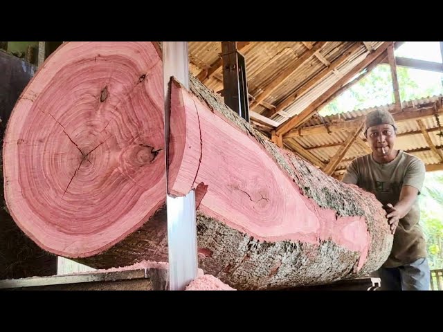 Processing Rare Pink Wood in Traditional Sawmills