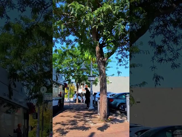 Everyday Life in British Columbia #kamloops #britishcolumbia #canada #shorts