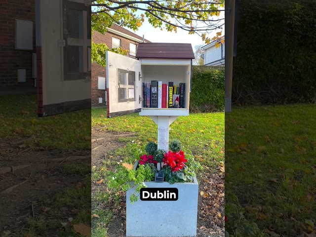 Around the world in 100 Little Free Libraries.