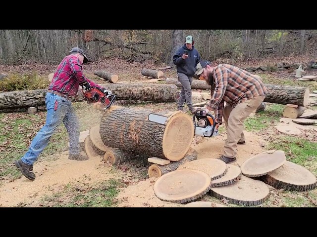 Stihl 881 vs Homelite chainsaw