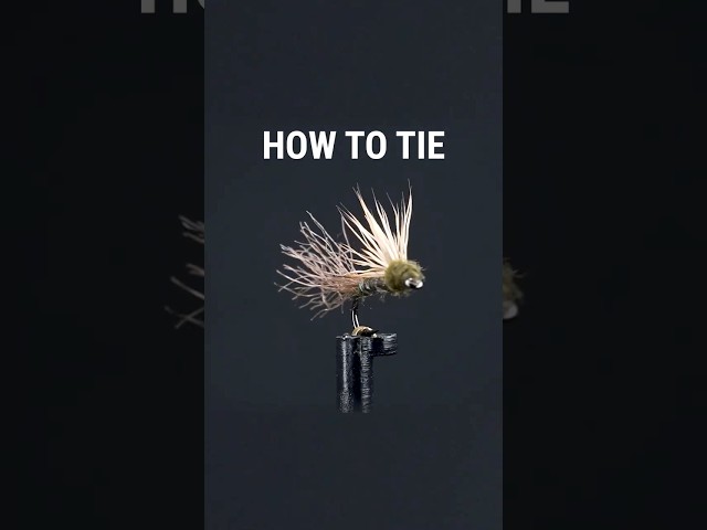 This Fly Is Sneaky Good During a Caddis Hatch!