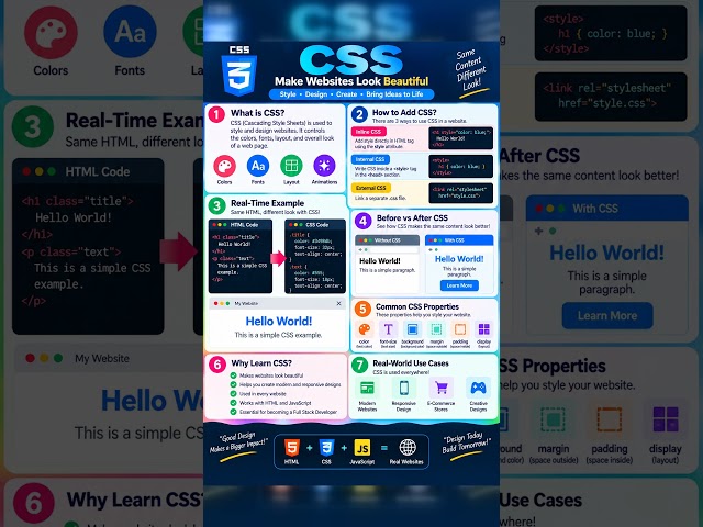 CSS Basics in 30 Seconds 🎨💻 | Make Your Websites Look Beautiful! 🚀