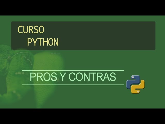 Python Course -Pros and Cons-