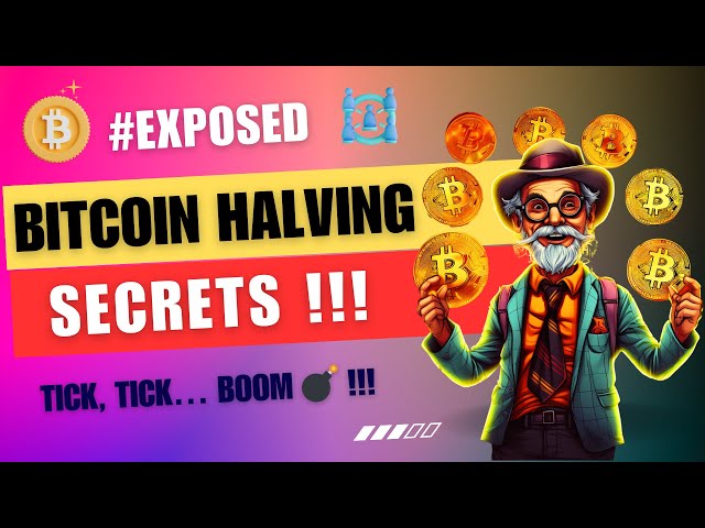 Bitcoin Halving explained | BTC Halving Insights | Blockchain & Mining theory | TechZnap