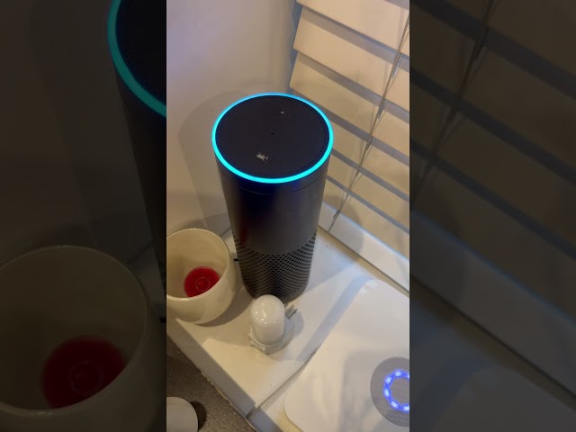 Alexa thinks The Bestie Boys had a #Christmas album #christmascarol