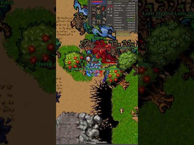 Tibia Monk 213 2.7kk raw 600k profit Book World Chapter 3.
