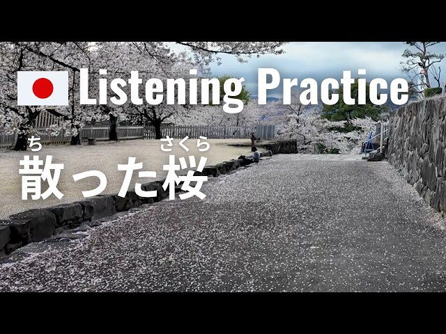 Fallen cherry blossoms at a Japanese Castle | Japanese Listening Practice