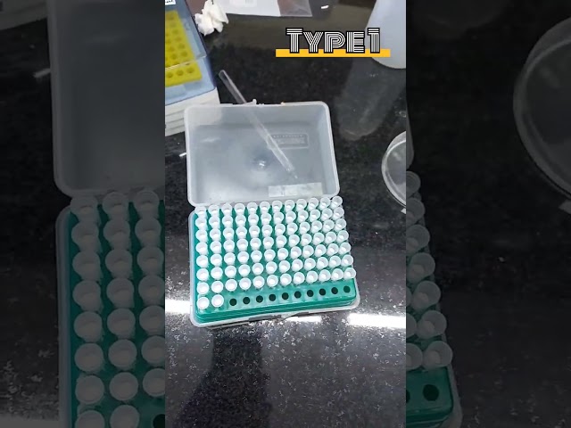 2 types of researcher in the Molbio lab...which type are you?