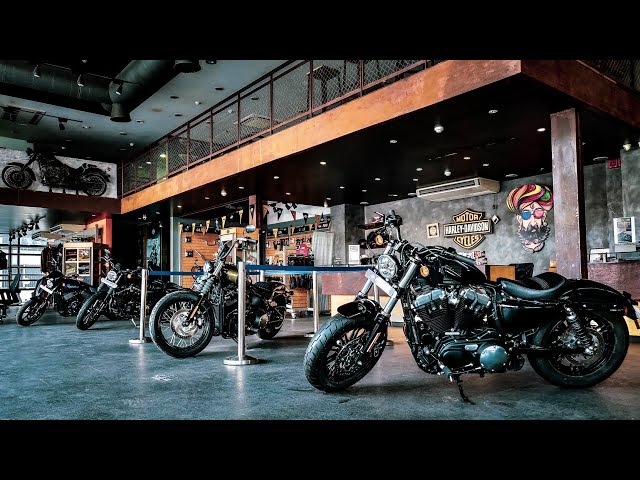 Harley Davidson Lineup #shorts