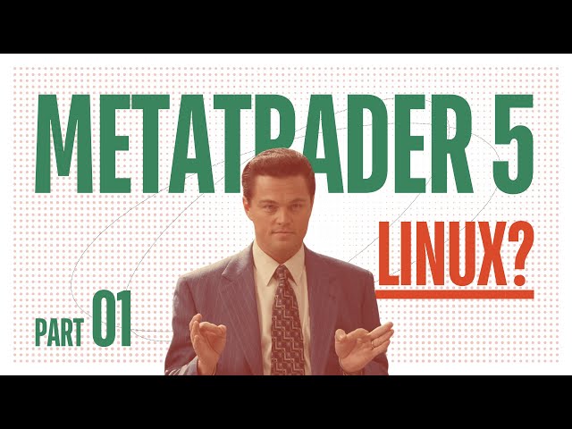 How to deploy MetaTrader 5 on Linux servers - MT5 Quant Server with Python Tutorial Series - Part 01