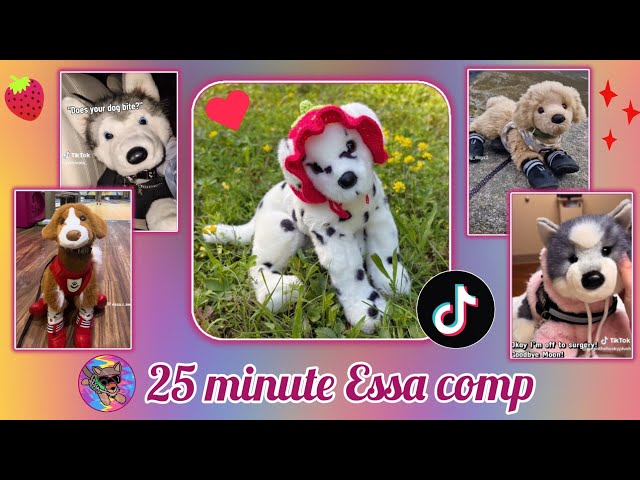 ESSA Comp because you're not allowed tiktok 🍓 || Credit to original owners || 10k special 😱 