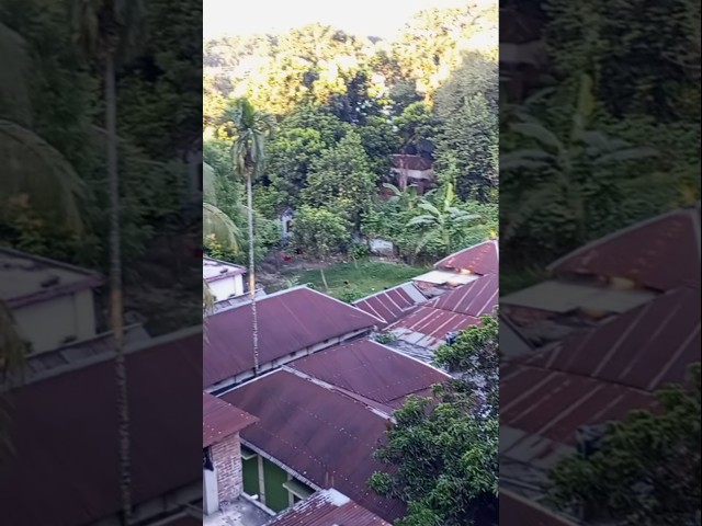blogg video shorts #velage village #2026 বাংলাদেশ
