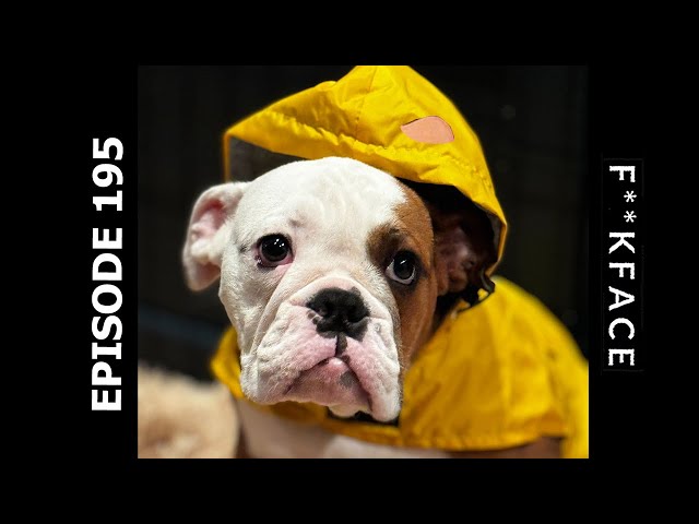 Gavin is Here for Pleasantries // Season 2022 [195]