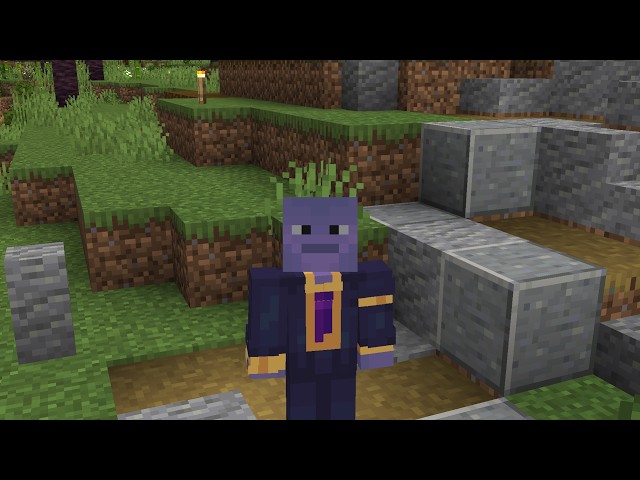 VIEWERSMP FINALE