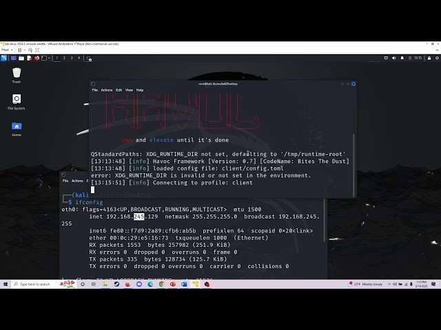 Havoc C2 Walkthrough